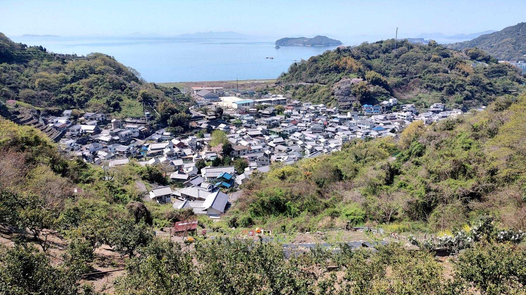 綺麗な軒並み