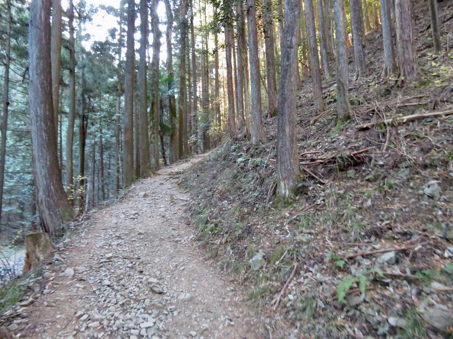 登山道に入る