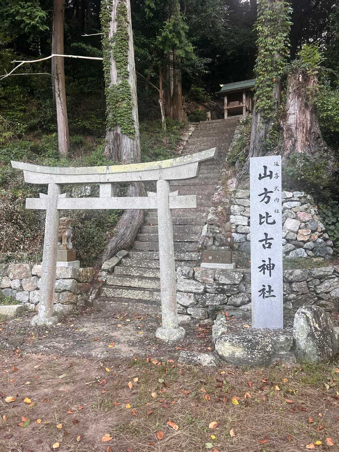 中津峰山-多家良山 周回コースの写真