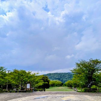 降りそうな空模様になってきました。
さっさと退散。
近頃は、にわか雨とか夕立とかの可愛いいもんじゃなく、ゲリラ雷雨に滝雨ですからね〜。💦