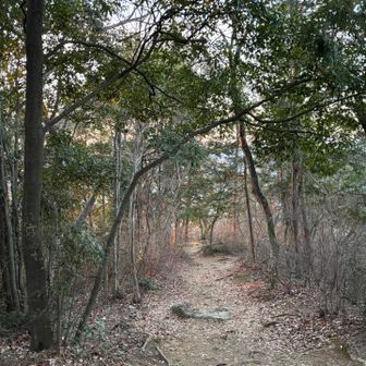 半赤
は、撮り切れないのかー