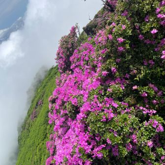 お鉢途中もモリモリ