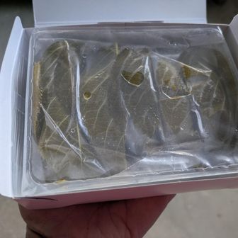 伊浜のバス待合室で桜葉餅をいただく。
生き返る。15:46にバスがあるので乗ることにする。
東海バス全線２日券でまわってます。