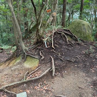 山頂、三角点
