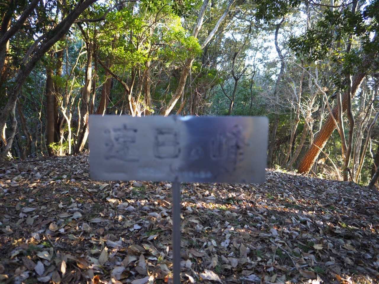 読みにくい、、、
マジック持って来れば良かった