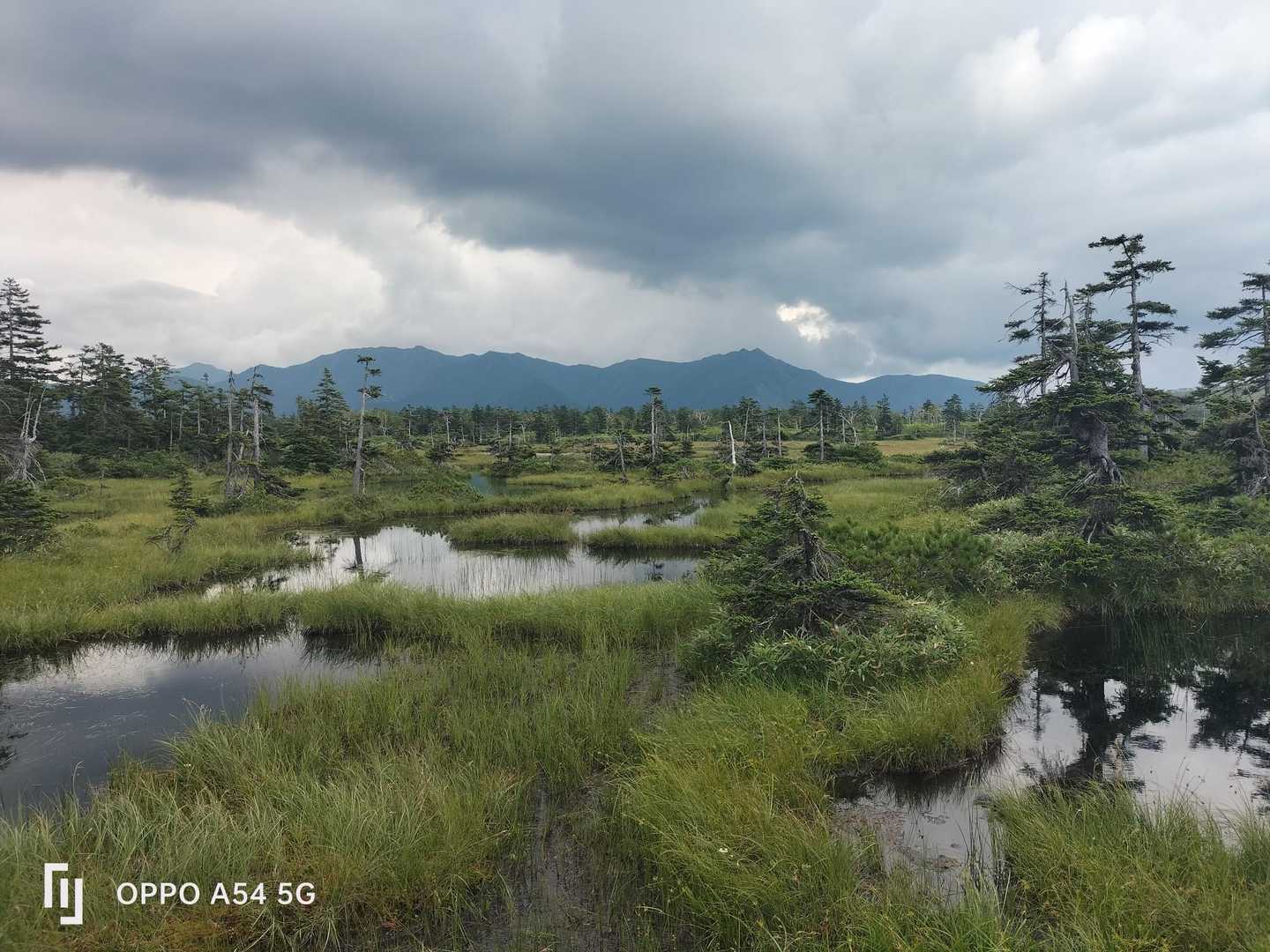 下山途中、沼ノ原と石狩岳連峰🤩