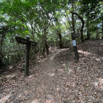 いつも登ってくる水城住宅地方面の分岐を通過