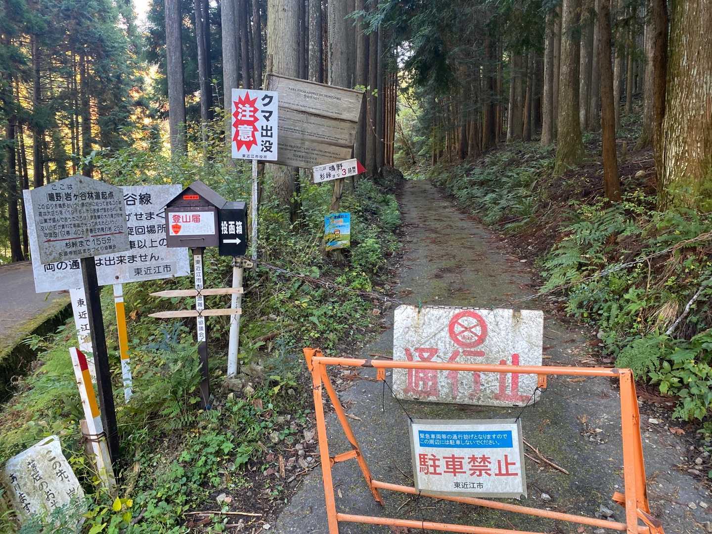 甲津畑登山口-杉峠-杉峠ノ頭-イブネ-クラシ-タイジョウ 周回コースの写真