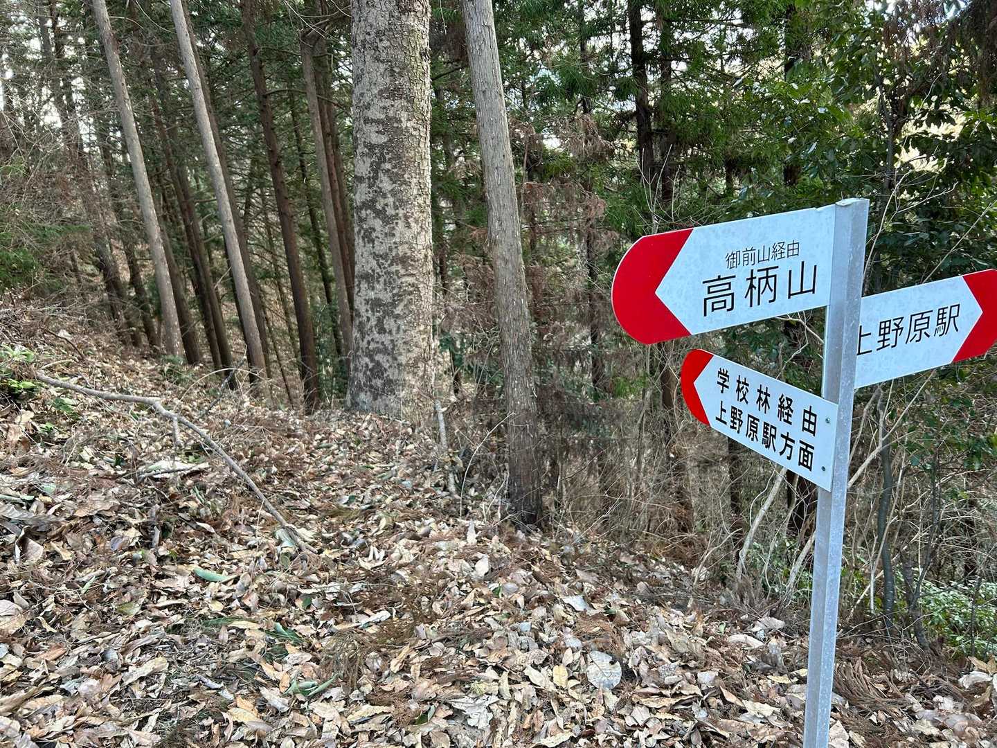 この先、学校林経由で駅まで行けるみたいだけど、道があるように見えない…。学校林ってなんだろう🙄