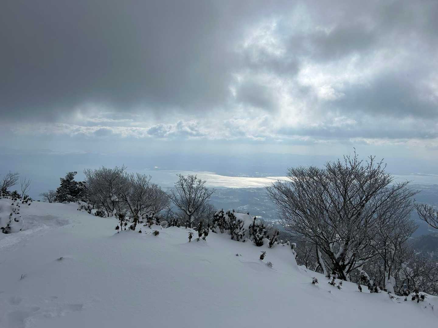 アラキ峠-権現山 往復コースの写真