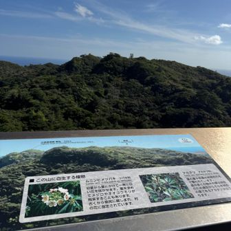 父島の最高峰は正面のピーク。山名無し。