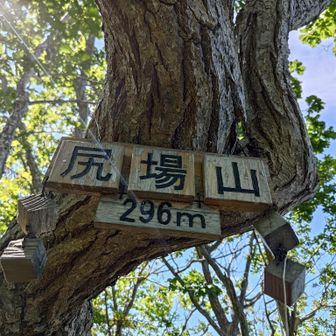 ステキな山標