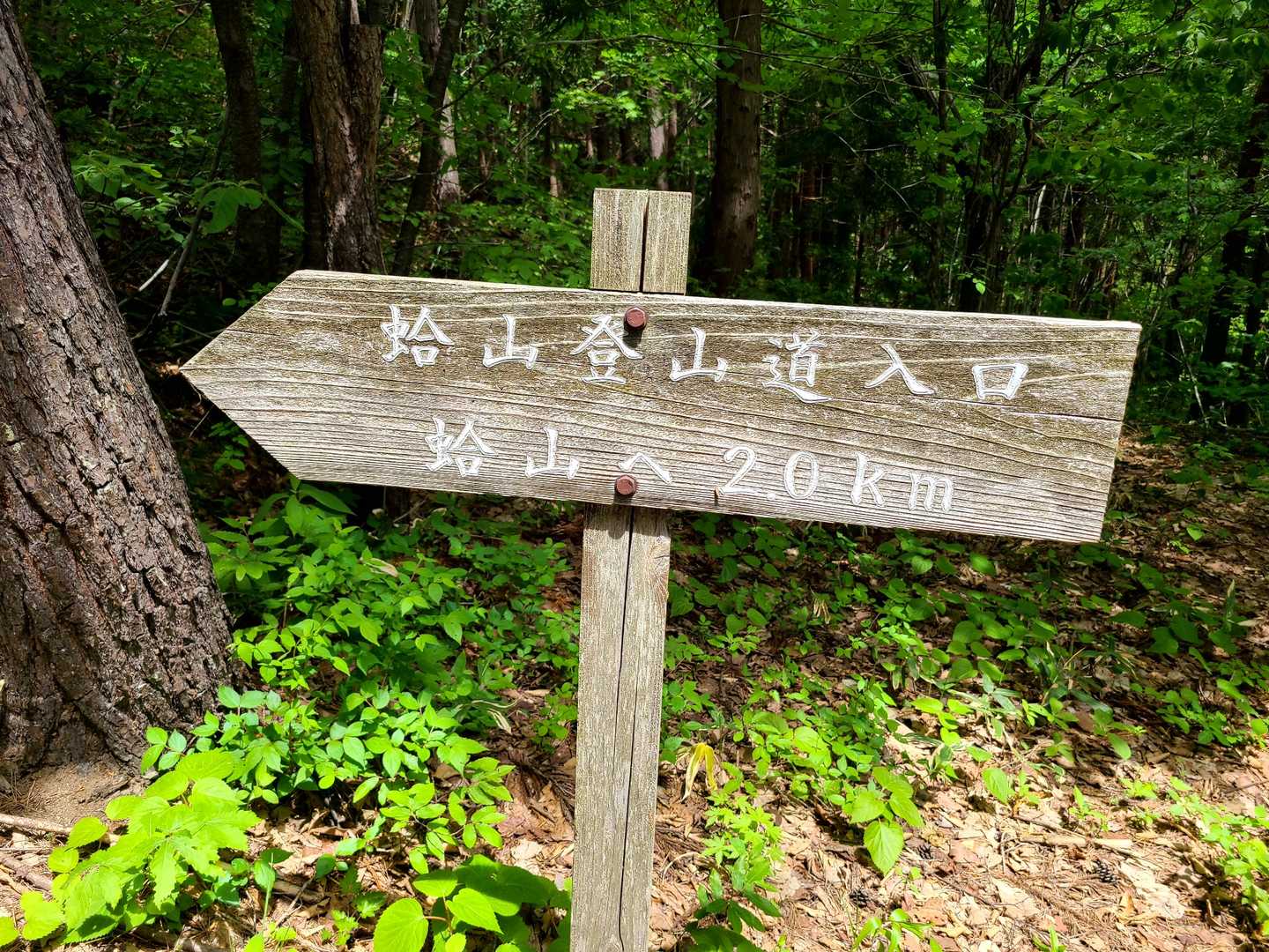 2キロ‼️ここから始まり