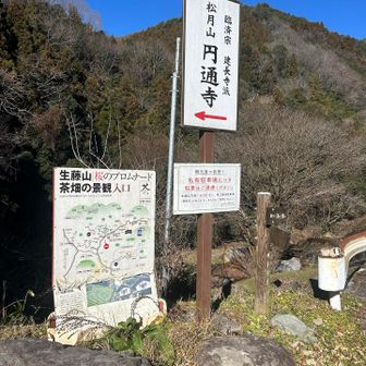 ここから🅿️への上りは急だった