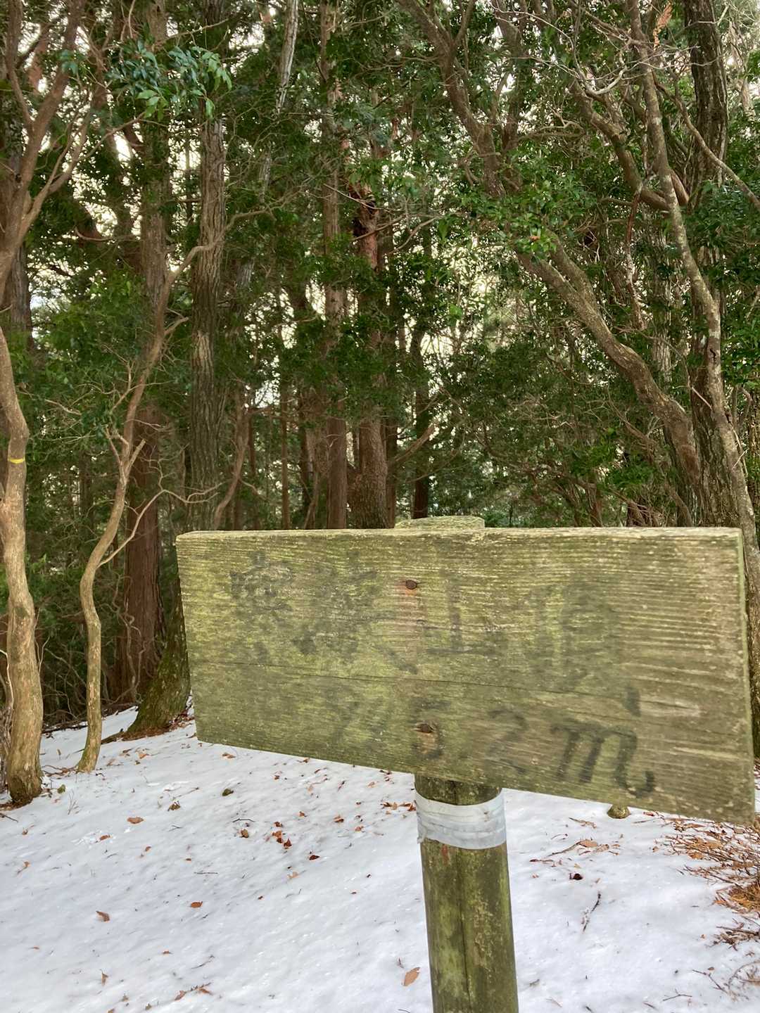 ここで雪だるま⛄️作るの忘れた😭