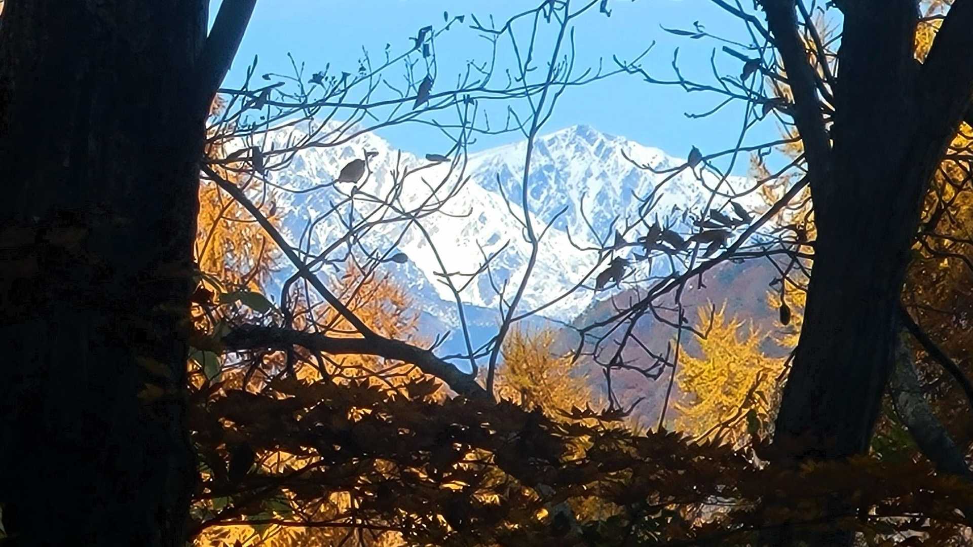 白馬岳見えるポイントあります