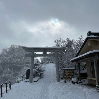 鳥居さんごめんなさい