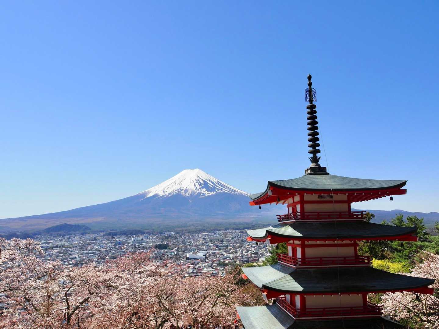 見たかった景色☺️
このために30分以上並びました💦
外国人観光客で大賑わい😅