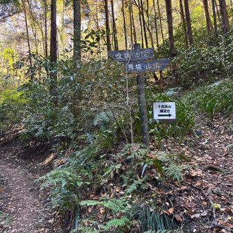 別ルートで戻ります！