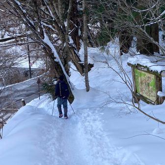 最後は、シャリバテ❓で、脚が重く…時々つまづきながらも無事下山