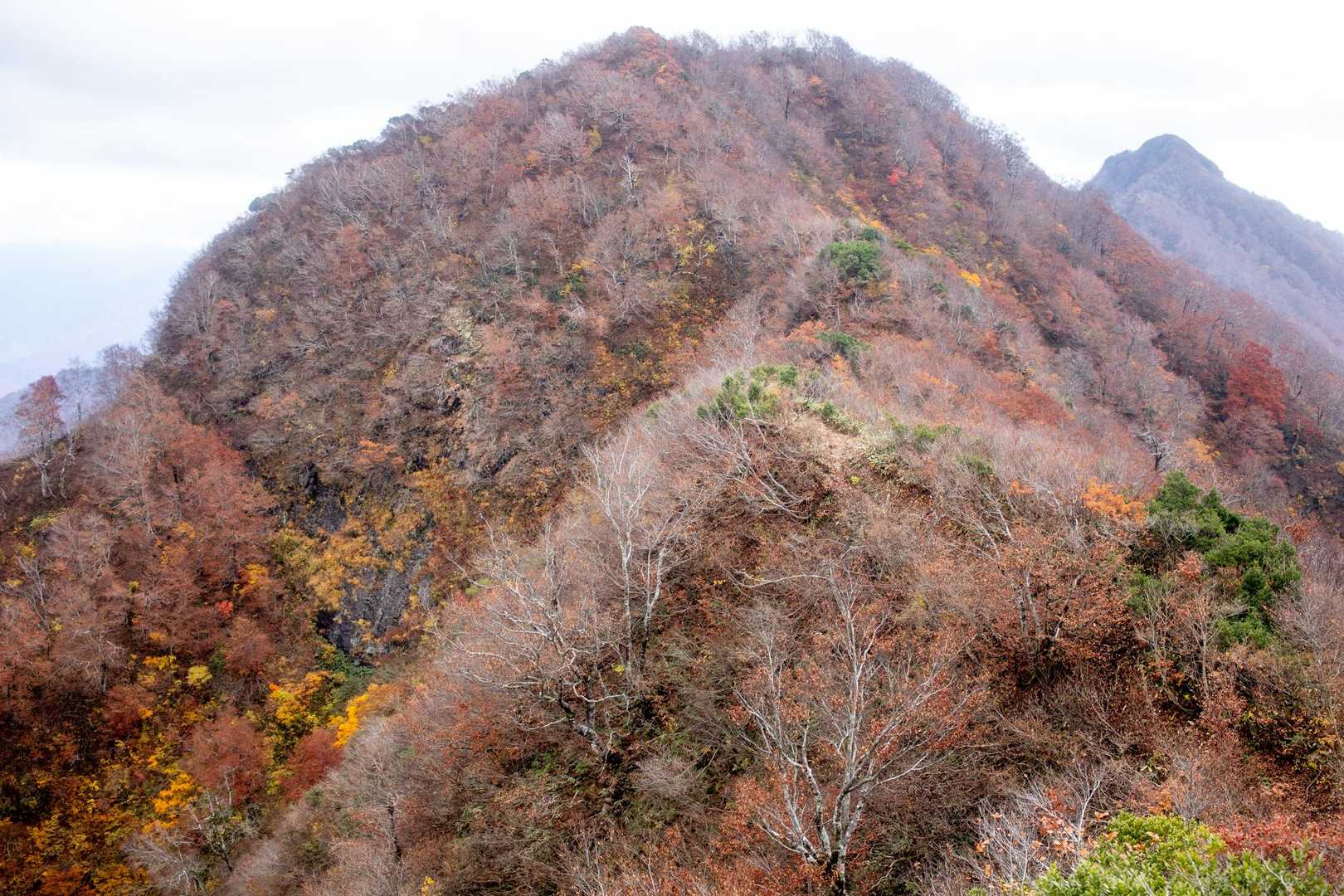 鷲ヶ巣山（縄文の里朝日）の写真