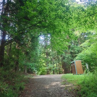 高川山登山道入口