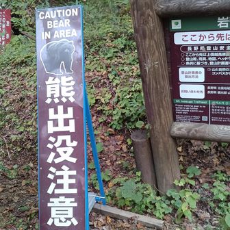 改めて…
お疲れ様です