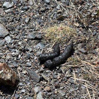 閲覧注意⚠️
俺のじゃないよん😆