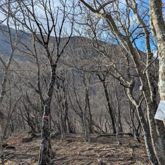 へべ山とうちゃこ⛰️