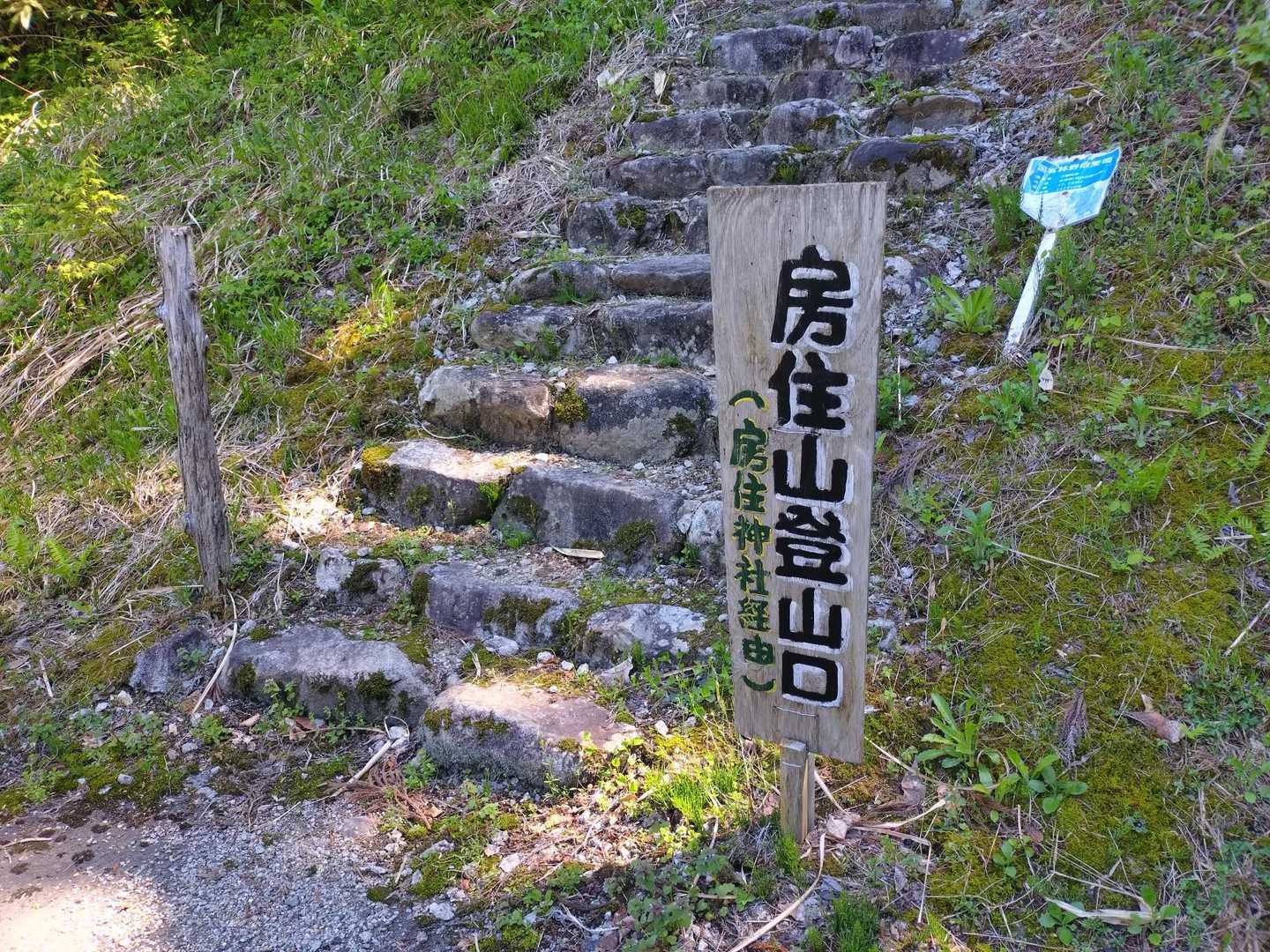 ここからのスタートは初めて〜🎵