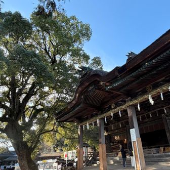 本宮！
大木と並んでかっこよい