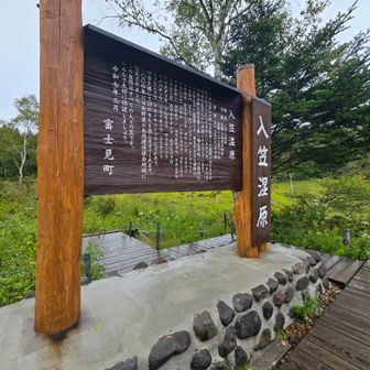 この辺で少し雨は小降りに