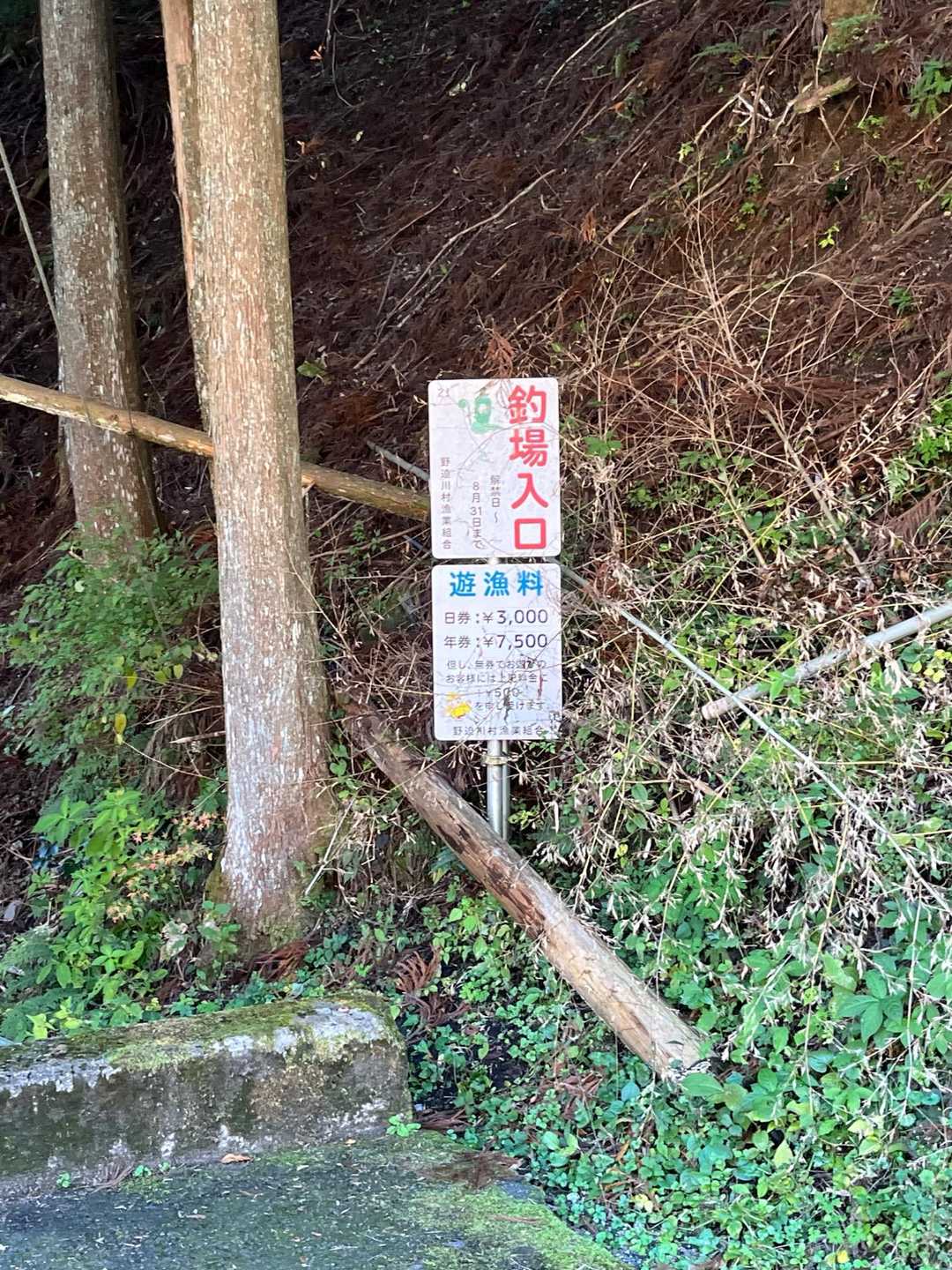つり、してみたい！