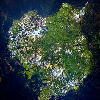 どの様に写真を撮ればハートの形になるのかな⁉️