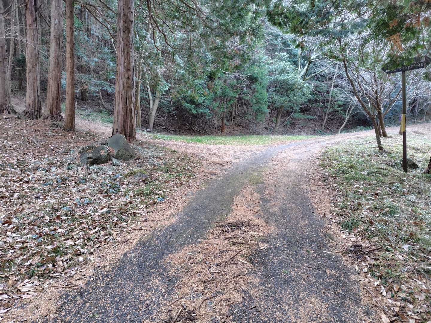 ここを左手に上がります😊
舗装路ですがレベル1〜2が続きます😭
ここでアウター脱いで長袖シャツで行きます😊
下山まで長袖シャツでした😊
