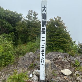 ここに到着した時にはかなりバテバテ