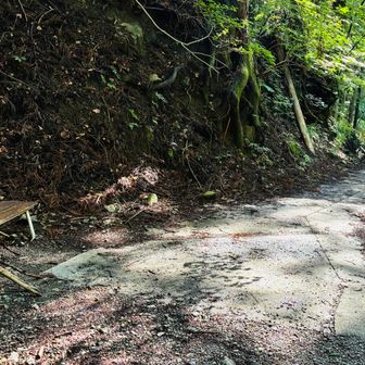 登山道入り口のベンチに、杖がありました。
武甲山1番キツいのは、このアスミチロングですね。