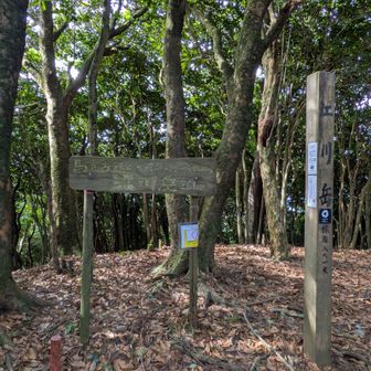 江川岳山頂
昔来たときはニセ屏山と不名誉な名前だったが、立派な名前が付いた