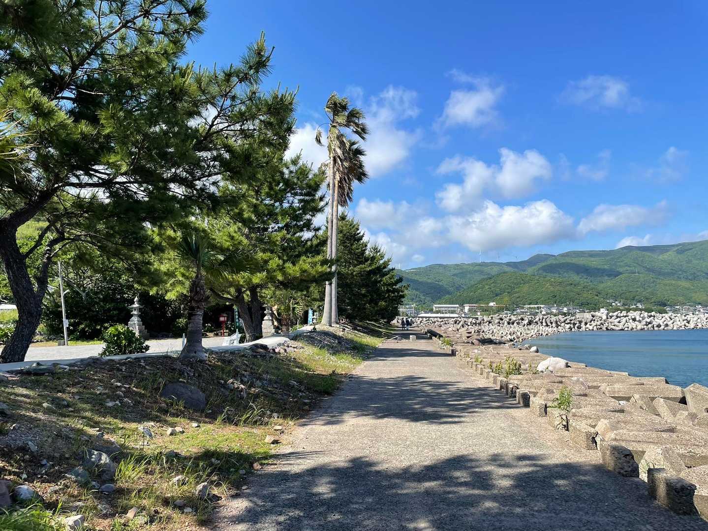 参道は左側