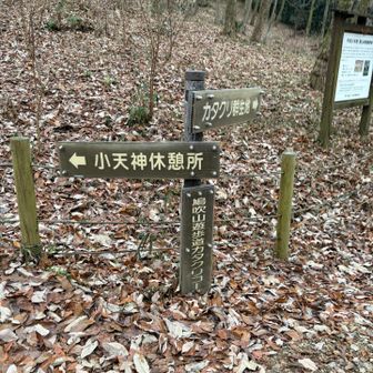 今日もカタクリコースからお邪魔します！

直前にあつしさんとスライドしたけど、ぼーとしてて無愛想な挨拶をしてしまう、、
すみません。

今度、お会いした際はお話を聞かせてください。