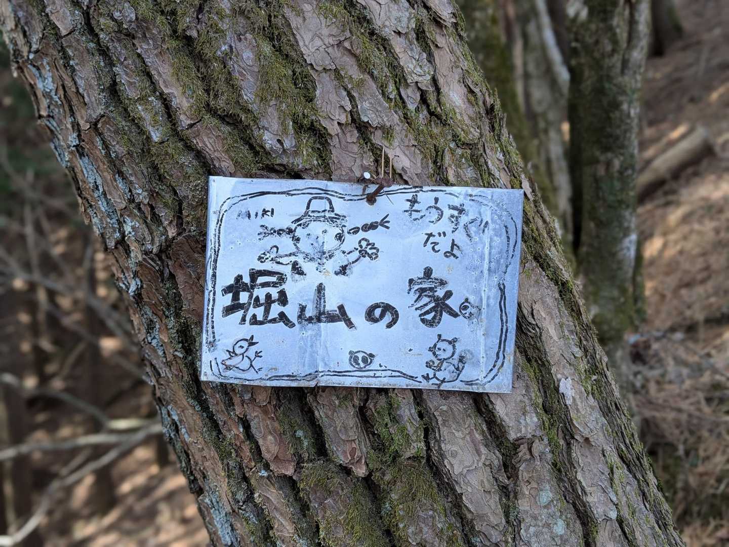 あの日以来初めての大倉尾根