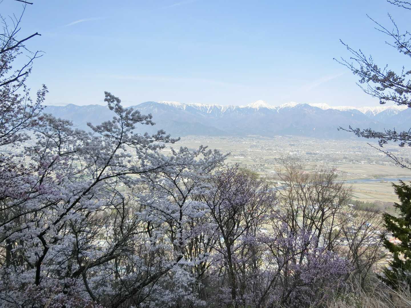 光城山往復 | 安曇野の田園と北アルプスを望む展望台へ、桜のトンネルを抜けての写真