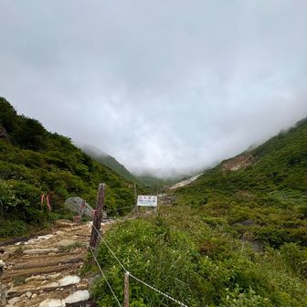 この辺りで選手数名に追いつきました。
さすがに皆さん速い。