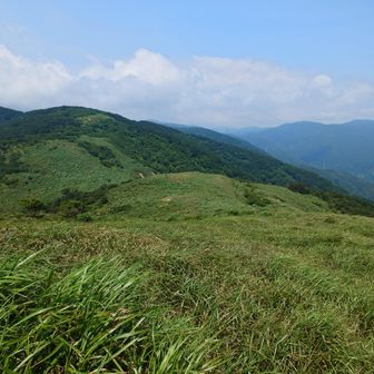大谷山から南に下るとメタセコイア並木に続く登山道があるようですが長い舗装路歩きで車に戻るのもアレなの寒風にで寒風に戻ることにします。