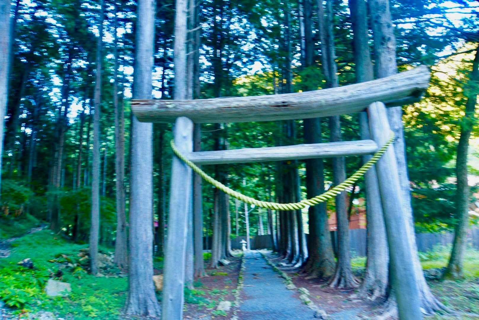 椹島ロッヂにある神社⛩️さん。

無事に帰って来られました。😮‍💨
暗くなる前に間に合いました。
ありがとうございます🙏


椹島ロッヂはお風呂🛁もあります。
とにかくますお風呂で筋肉🦵🦶解して。🙏
ヨシヨシ、ありがとう😊

眠いし、クタクタ😓
食堂に行くのも億劫です。
18:00から夕食🍽️
あんまり食べられませんでした。

明日からテカリ縦走🚶🏻‍♀️
大丈夫かしら？😨

早く寝まーす💤
明日朝はゆっくりだから
回復❤️‍🩹しますように🙏🙏🙏🙏🙏