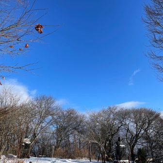 良い天気の中帰ります。