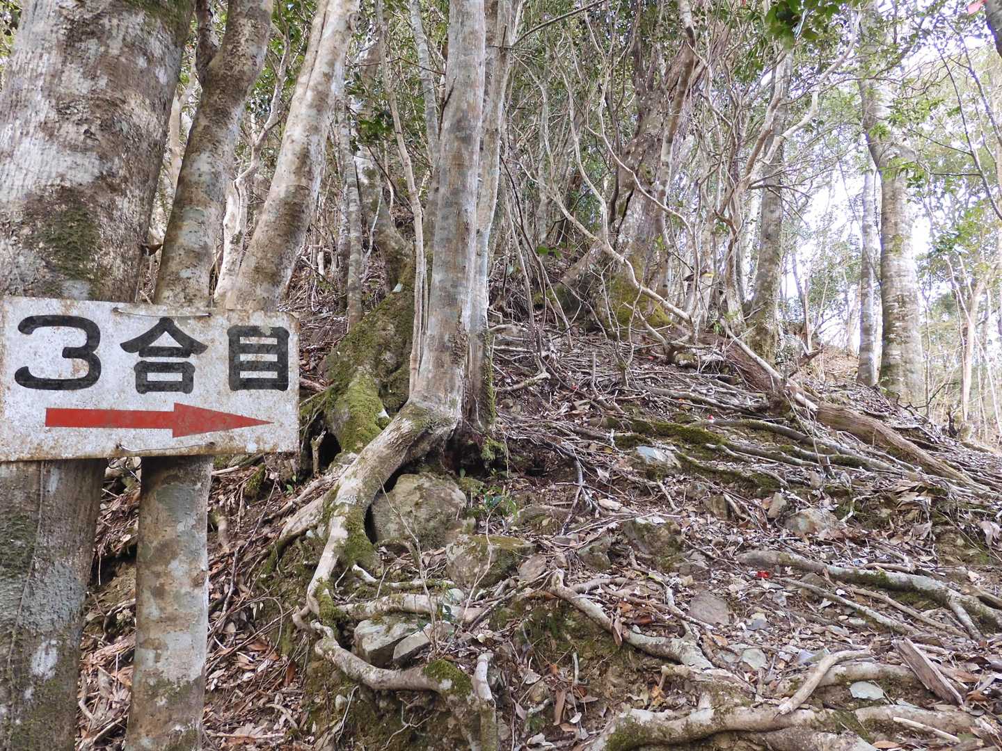 ここが３合目。この後も合目標識がありました。