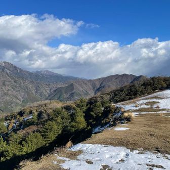 見渡してみます