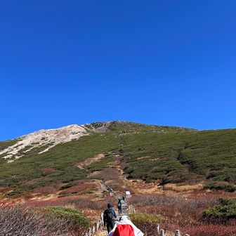 さあ行こう
休まずラストの急登
神域の高天ヶ原へ