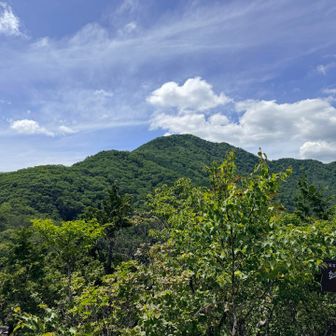 あそこから結構くだってきた。